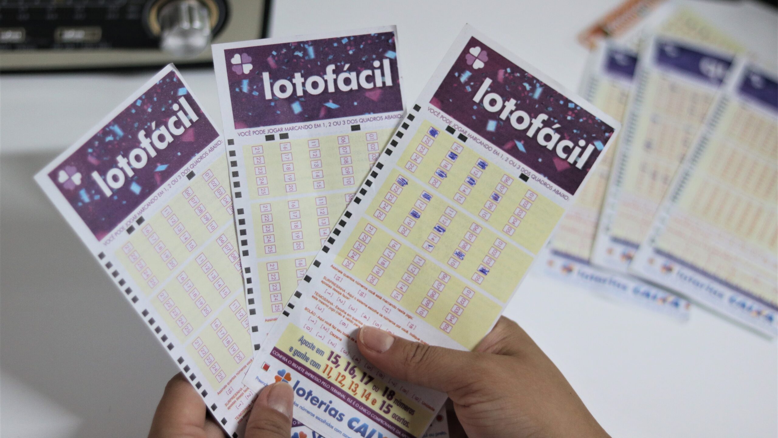 Conheça a Lotofácil, a Loteria mais fácil de ganhar