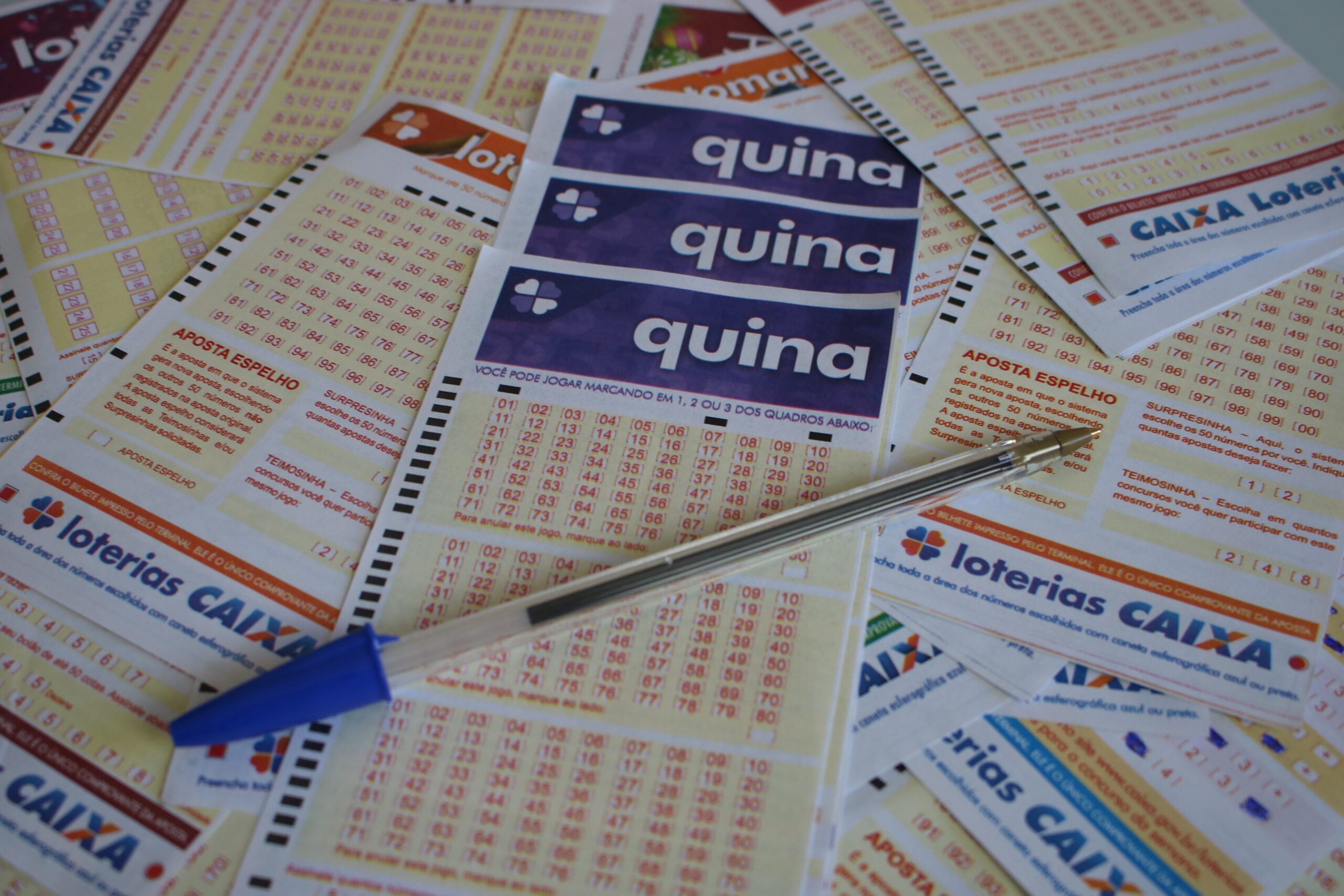 Conheça a Quina, a loteria diária do Brasil