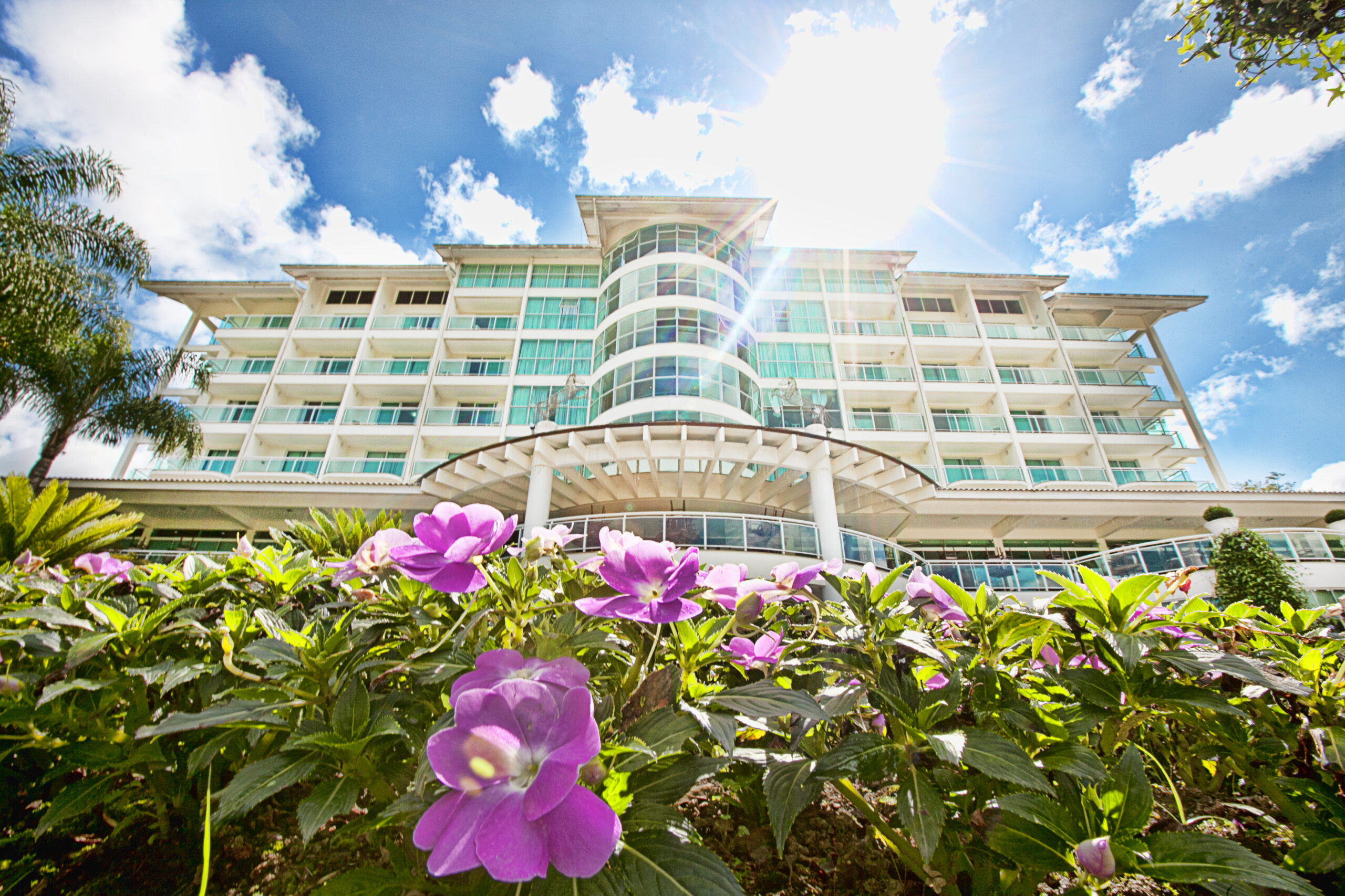 Perfis falsos utilizam hotéis e resorts renomados para aplicar golpes