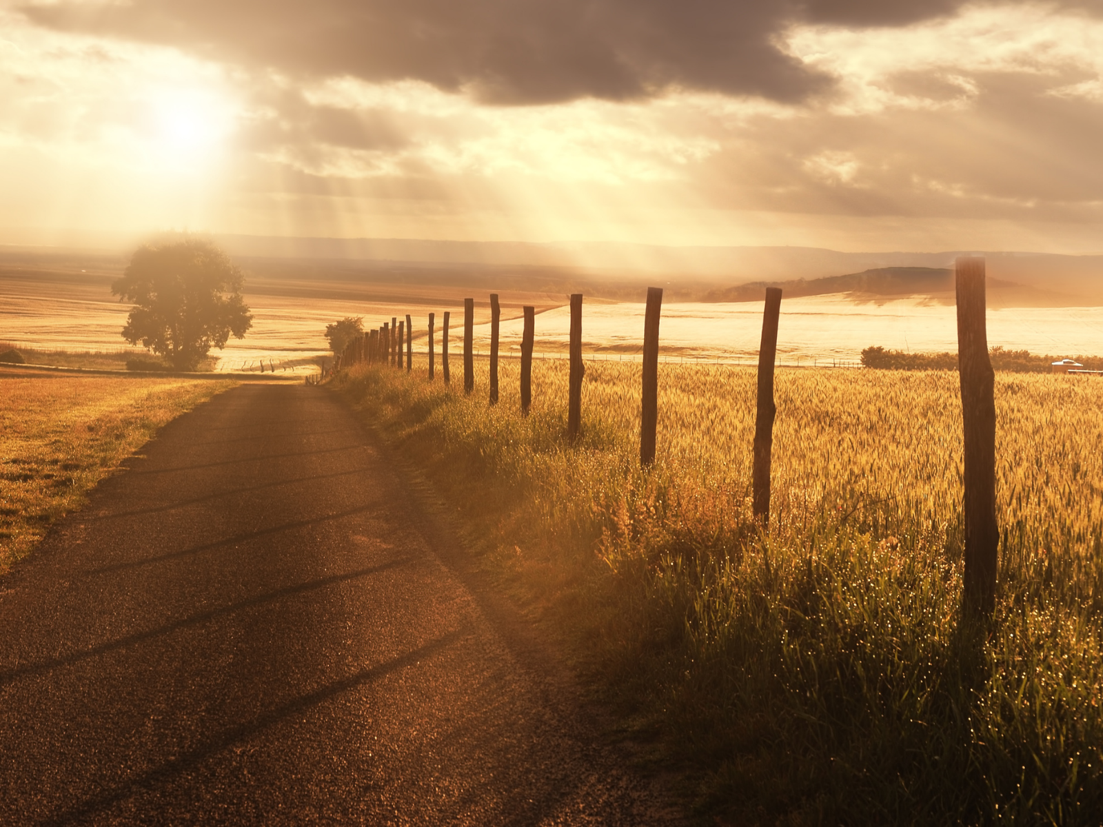 Analisando “Tocando em Frente”, de  Almir Sater e Renato Teixeira