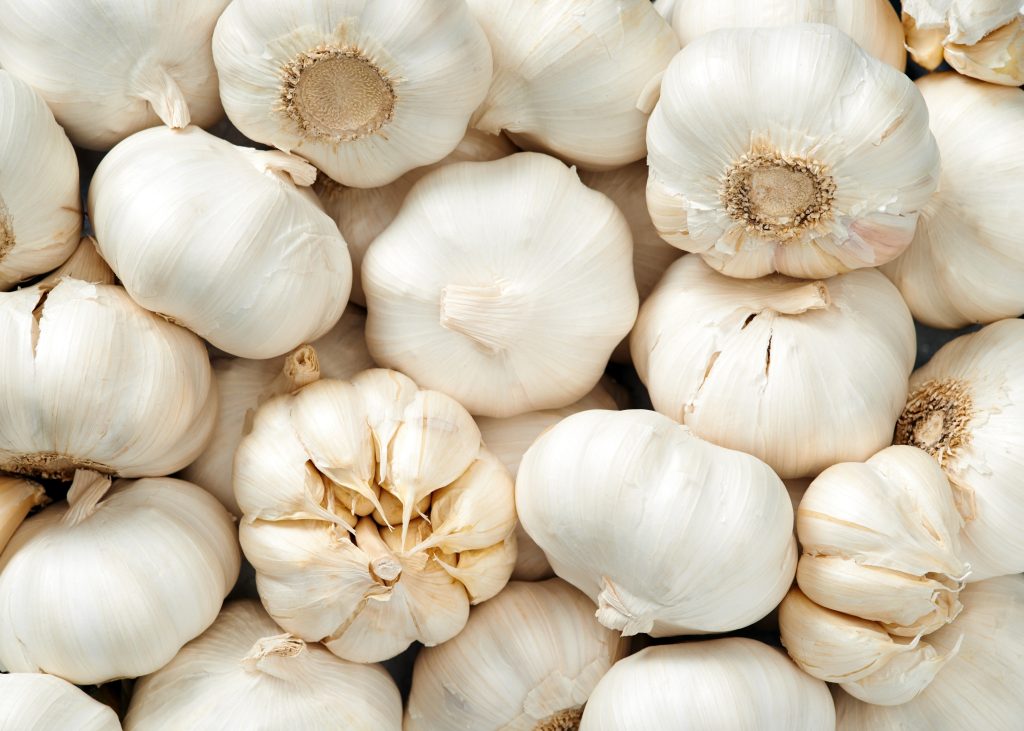 Os 4 alimentos mais ricos em nutrientes do planeta
