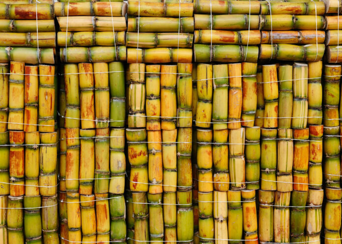 Primeiro projeto de produção de GasBio (biometano) em Minas Gerais terá investimento inicial de R$ 30 milhões