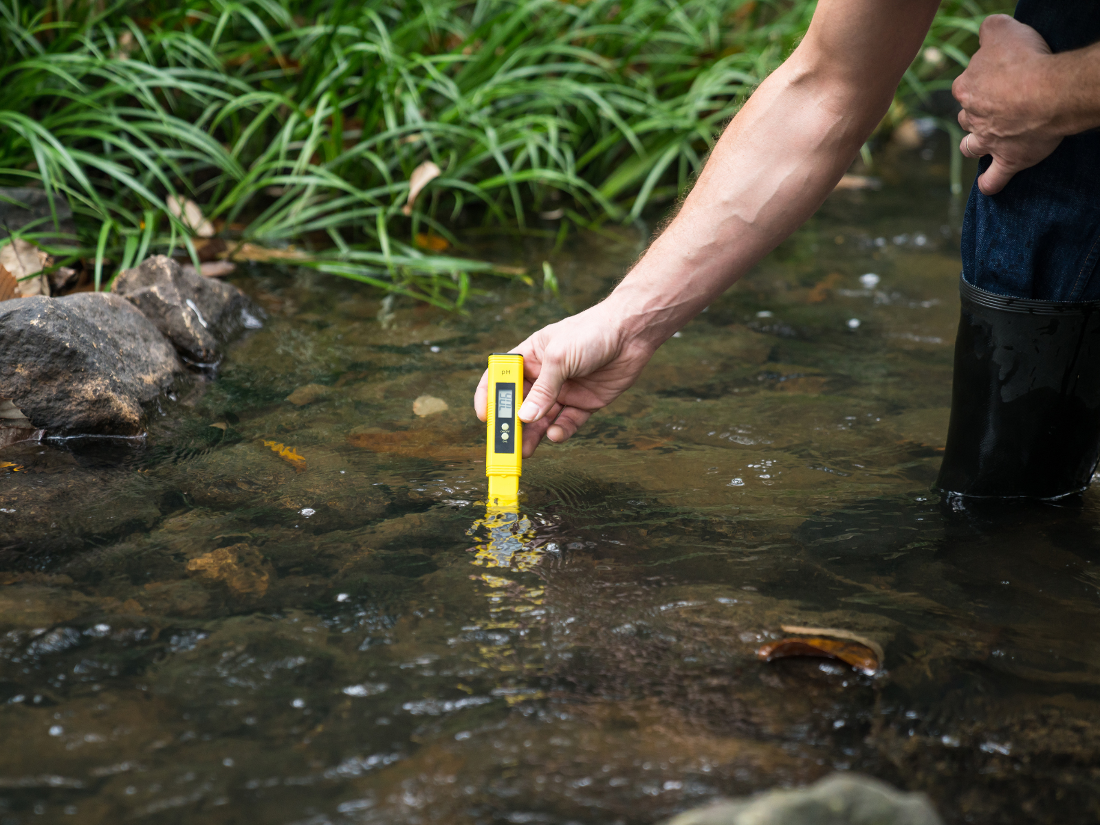 Termina nesta quarta-feira, 20, as inscrições para o processo seletivo da Secretaria de Meio Ambiente de BH 