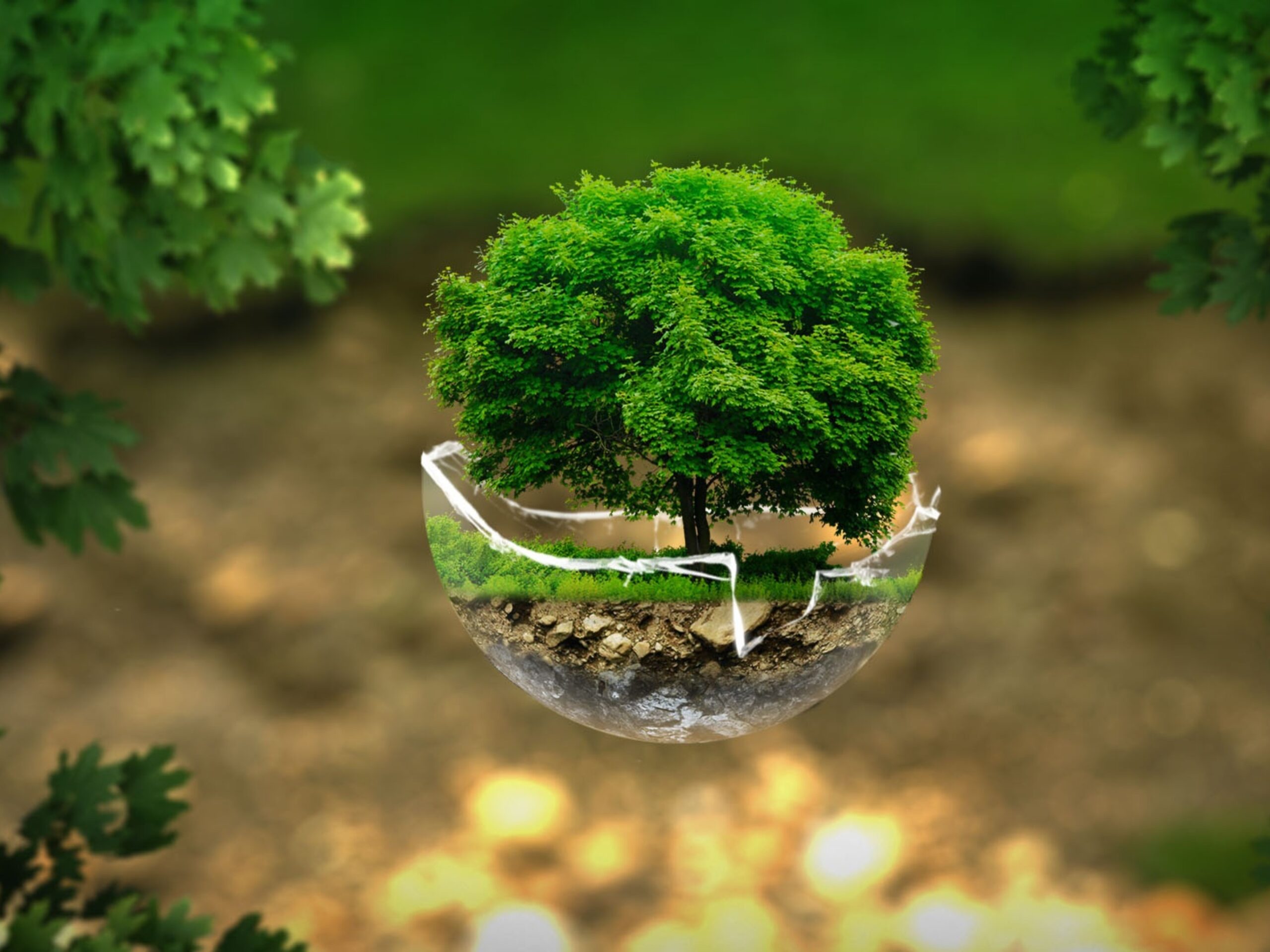5º Prêmio Sustentabilidade abre inscrições para projetos inovadores no saneamento