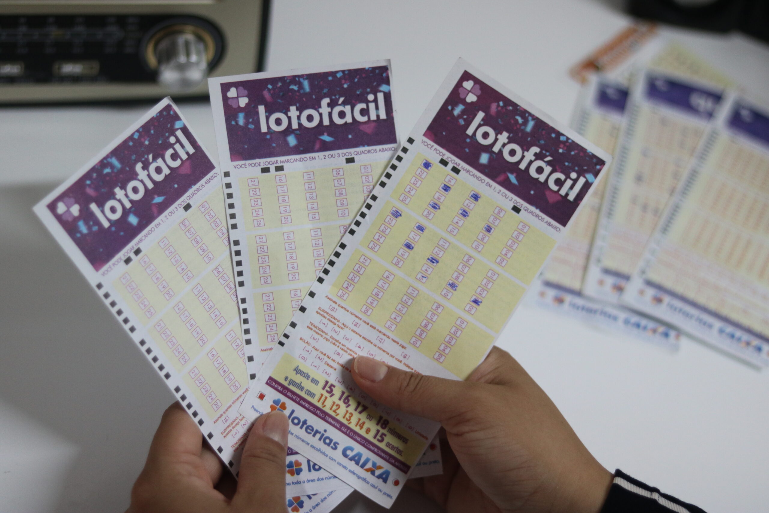 Sorteio da Lotofácil 2846 de hoje: confira o resultado de sábado (24/06/23)