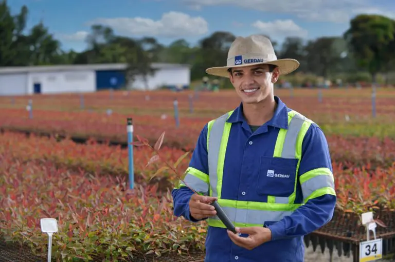 Gerdau anuncia mais de 100 oportunidades de emprego na área florestal