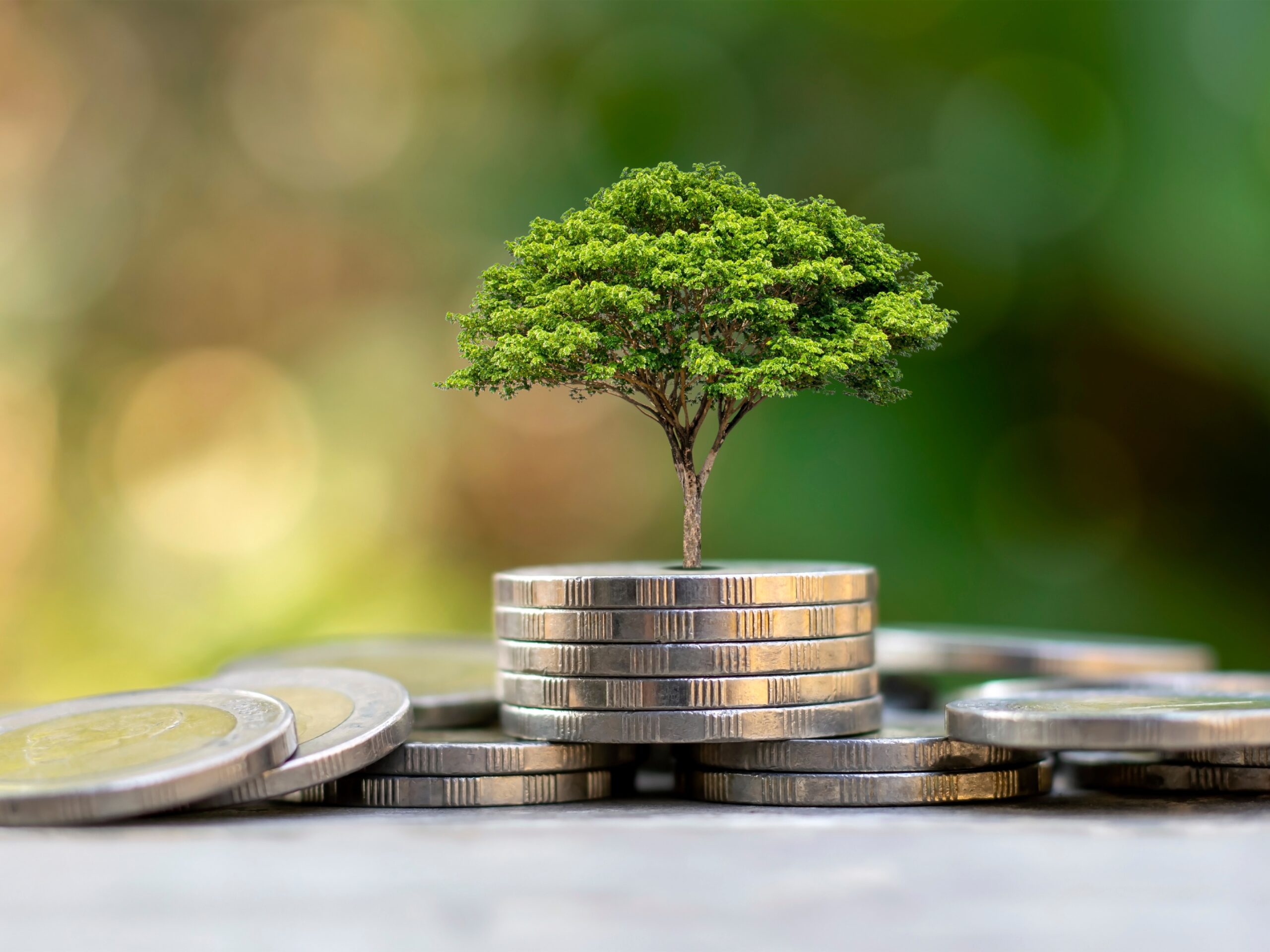 Novo curso gratuito de Economia Ambiental no IFMG - Campus Ouro Preto