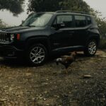 Do lançamento ao sucesso: a trajetória do Jeep Renegade no Brasil (2015-2022)