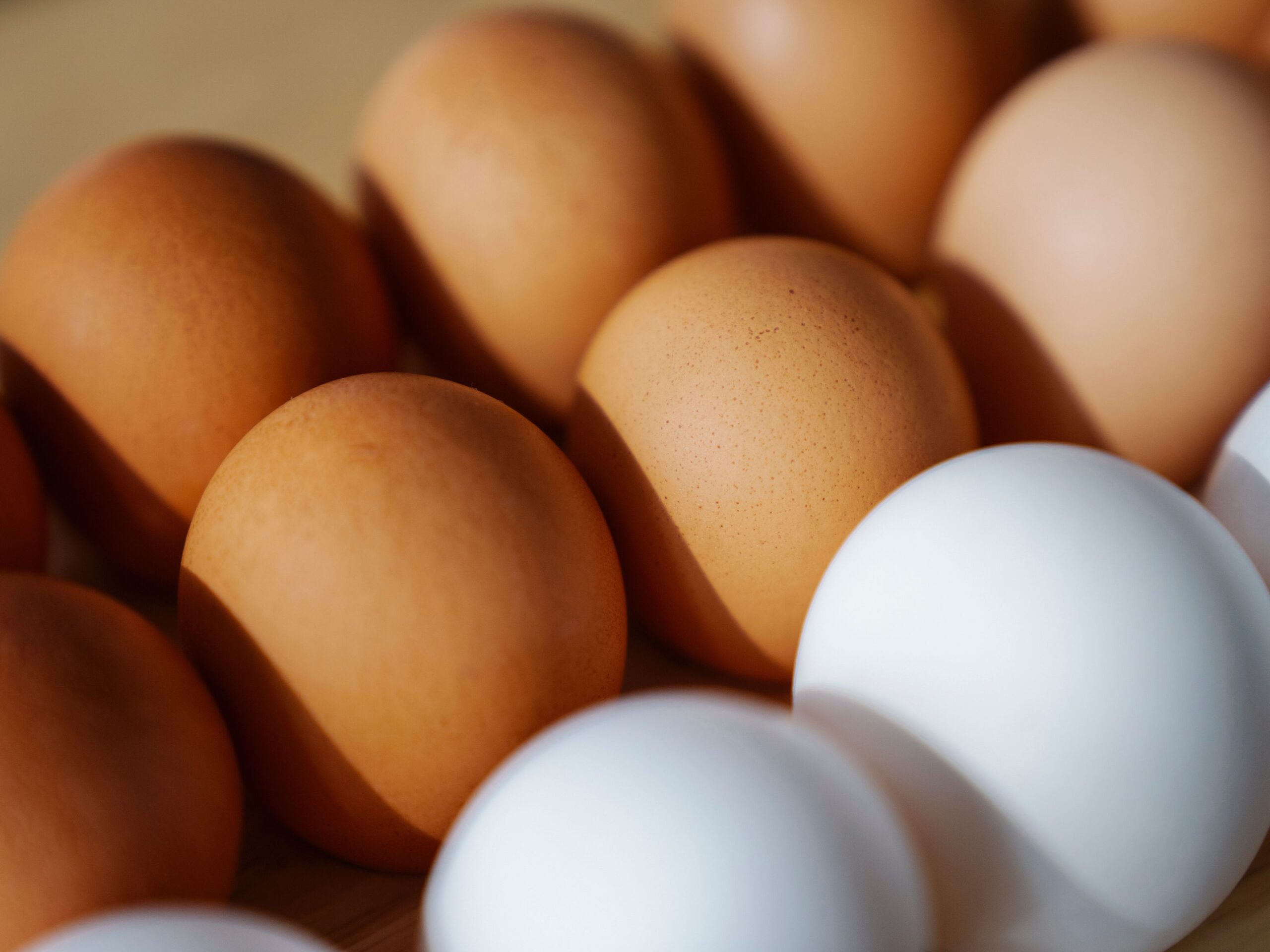 Ovo branco vs. Ovo marrom: Tem diferença além da cor?