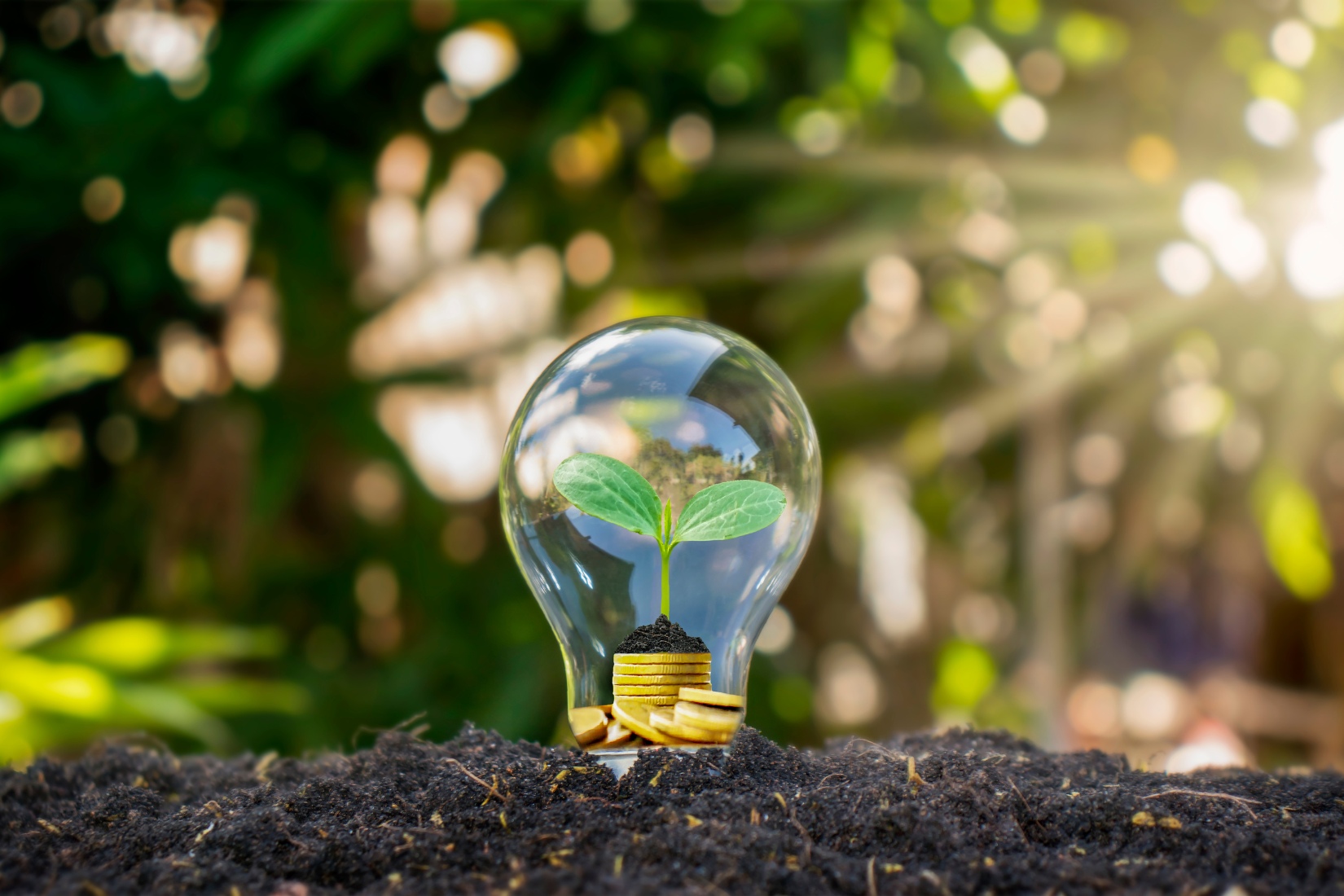 UFMG recebe inscrições para Especialização em Energias Renováveis - EAD 