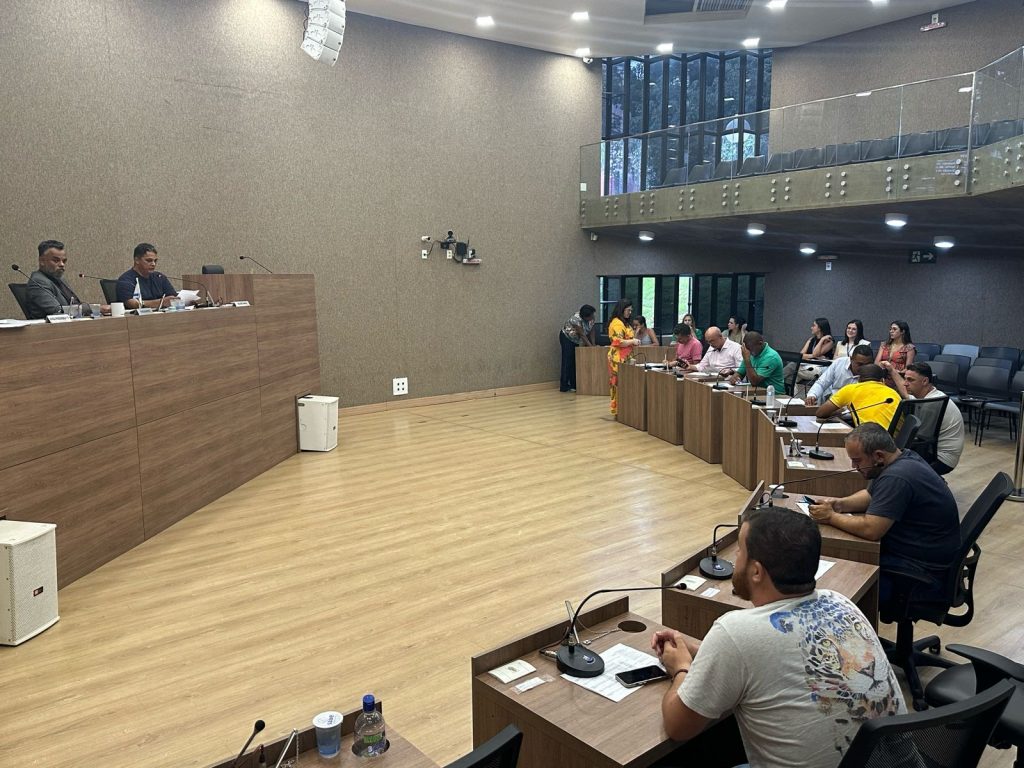 Câmara de Itabirito aprova fornecimento gratuito de repelente para gestantes