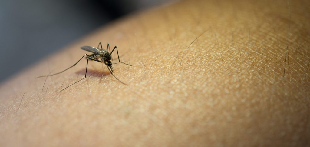 Associação de Moradores de Ouro Preto participa de campanha contra a Dengue na cidade