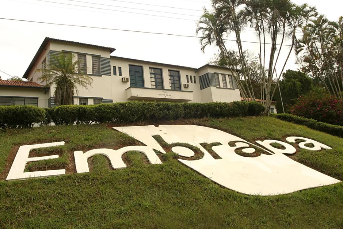 Conheça a e-Campo da Embrapa, a plataforma de cursos online para inovação no agronegócio