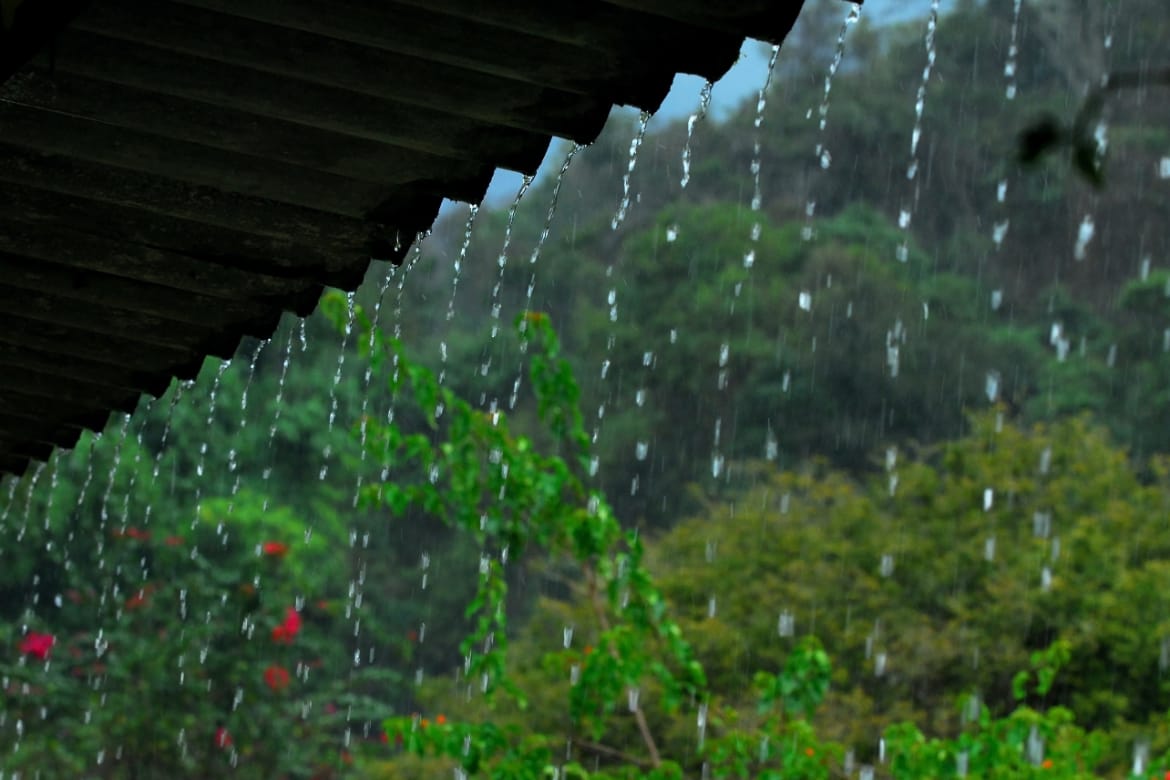 Você ama dias chuvosos? Descubra o motivo e o nome disso