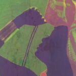 Resenha da coletânea ‘Literaturas africanas: em perspectiva’, organizada por Vanessa Riambau Pinheiro