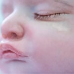 Reborns e o esvaziamento relacional na sociedade