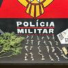 PM encontra pés de maconha em Itabirito após prisão em Cachoeira do Campo