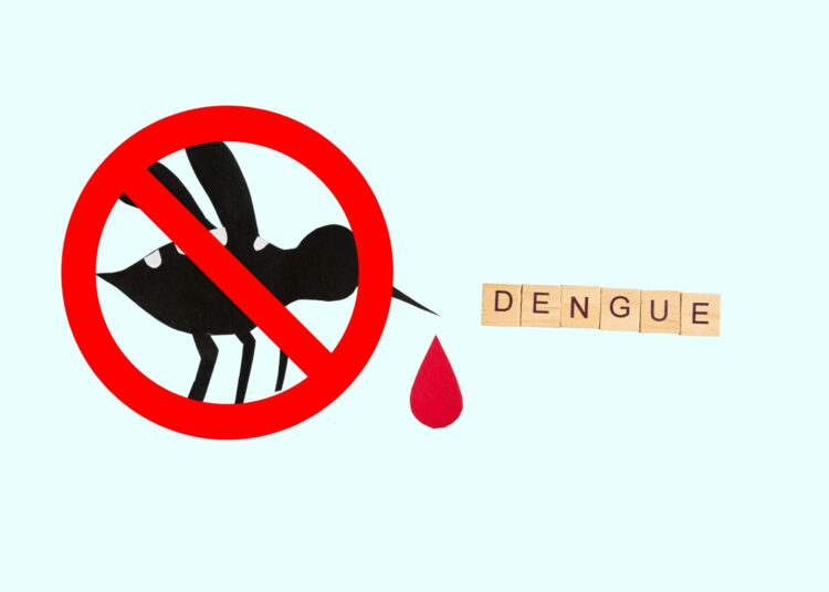 Prefeitura de Mariana realiza Dia D de Combate à Dengue na Praça da Sé