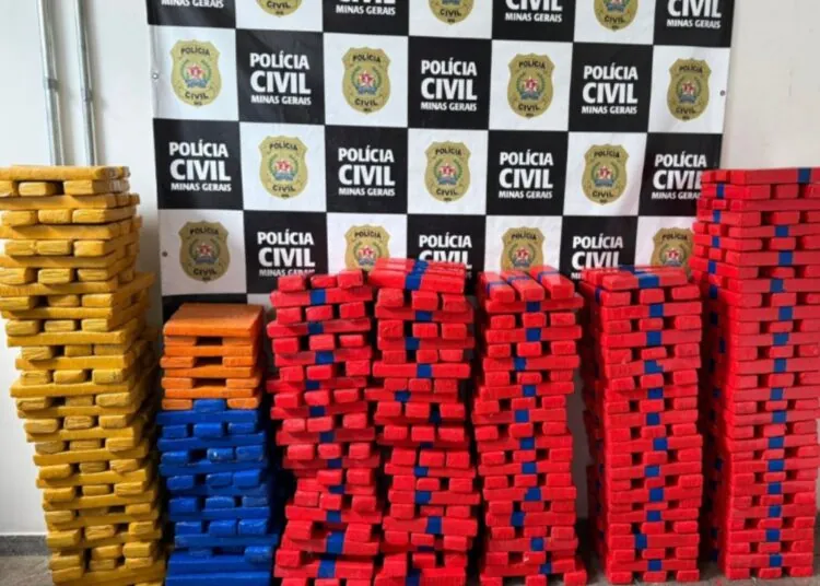 Polícia Civil apreende mais de meia tonelada de maconha em operação em Belo Horizonte