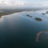 Pesquisa inédita analisa a vida marinha após o desastre do Rio Doce