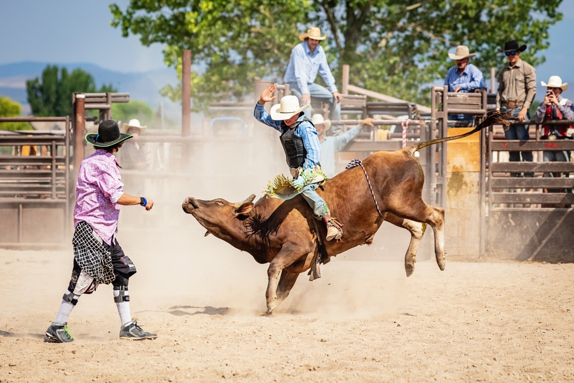 Prefeitura de Ouro Branco acata pedido do MP e cancela rodeio da 39ª edição do Festival da Batata