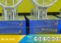 R$ 800 mil hoje: Resultado da Dia de Sorte 1136 de sábado (01/11/25)