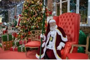 Natal Iluminado de Itabirito começa dia 14 de novembro com cortejo e luzes