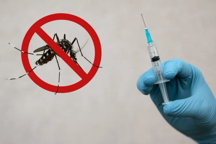Brasil deve ter vacina nacional contra a dengue em dose única em 2026