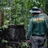 IBAMA e INCRA abrem seleção com 60 vagas temporárias para nível superior