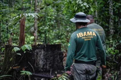 IBAMA e INCRA abrem seleção com 60 vagas temporárias para nível superior